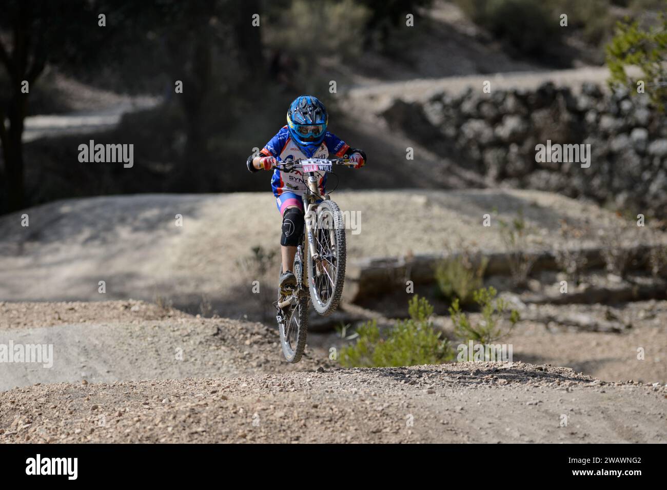 Radfahrer, der auf einem MTB-Downhill-Mountainbike springt Stockfoto