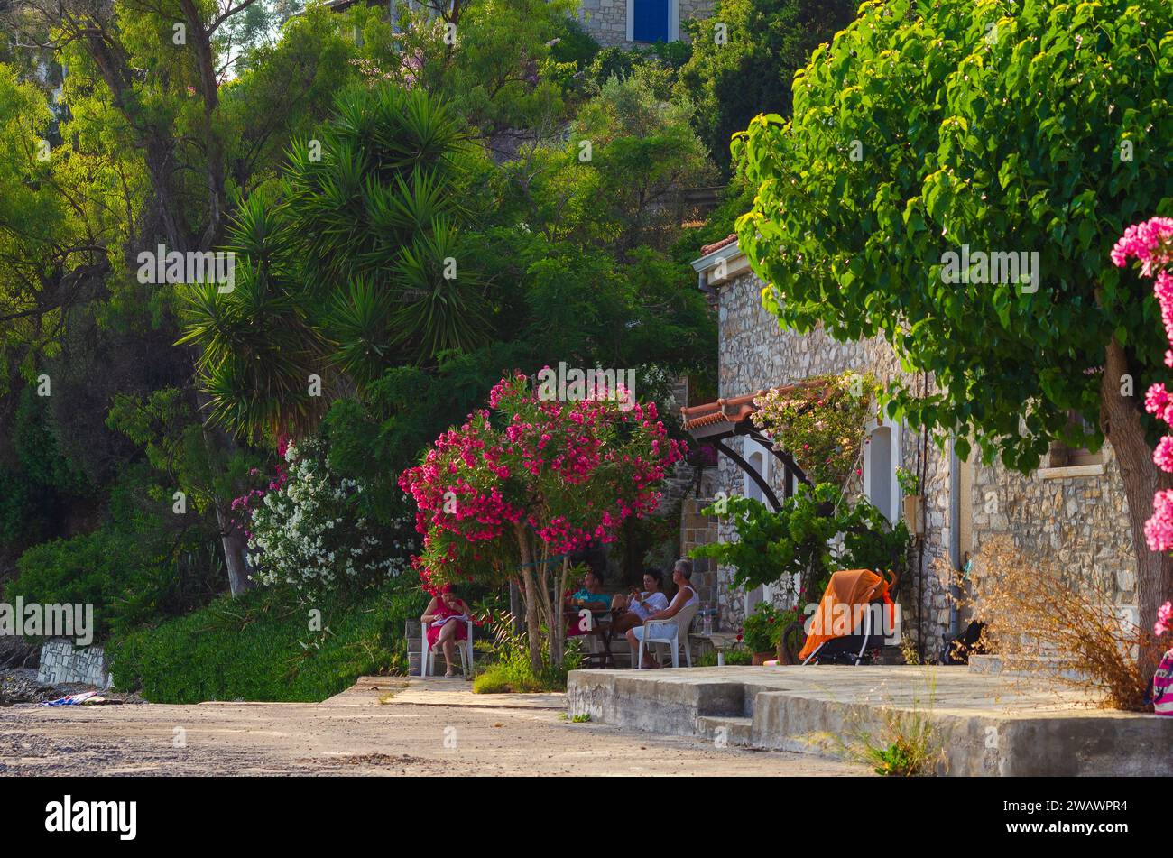 Allgemeiner Blick auf das Küstendorf Horto (auch bekannt als Chorto) an der Pilionküste Griechenlands Stockfoto