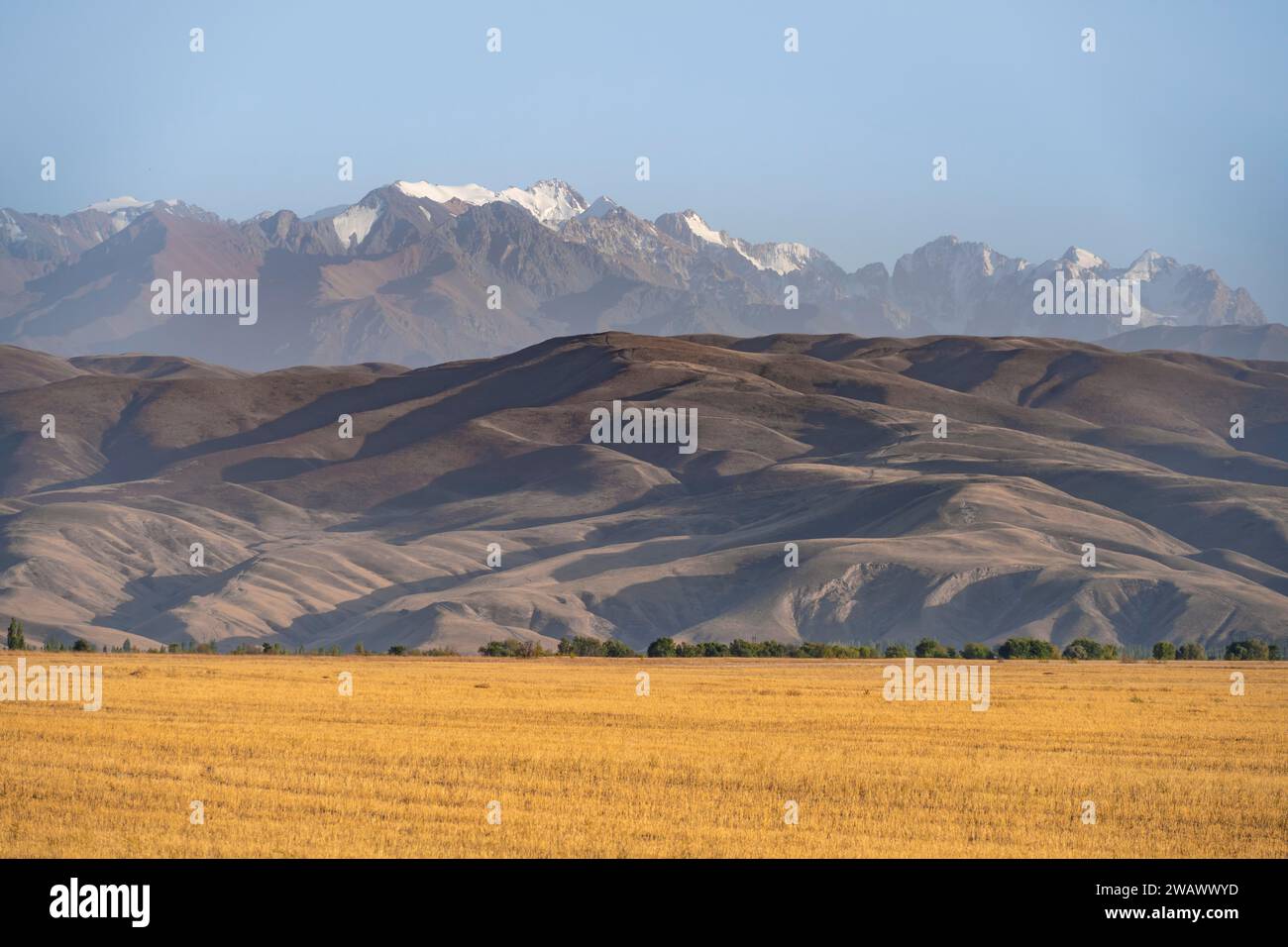 Feld vor karger Erosion Landschaft und hohen Bergen, Kirgisistan Stockfoto