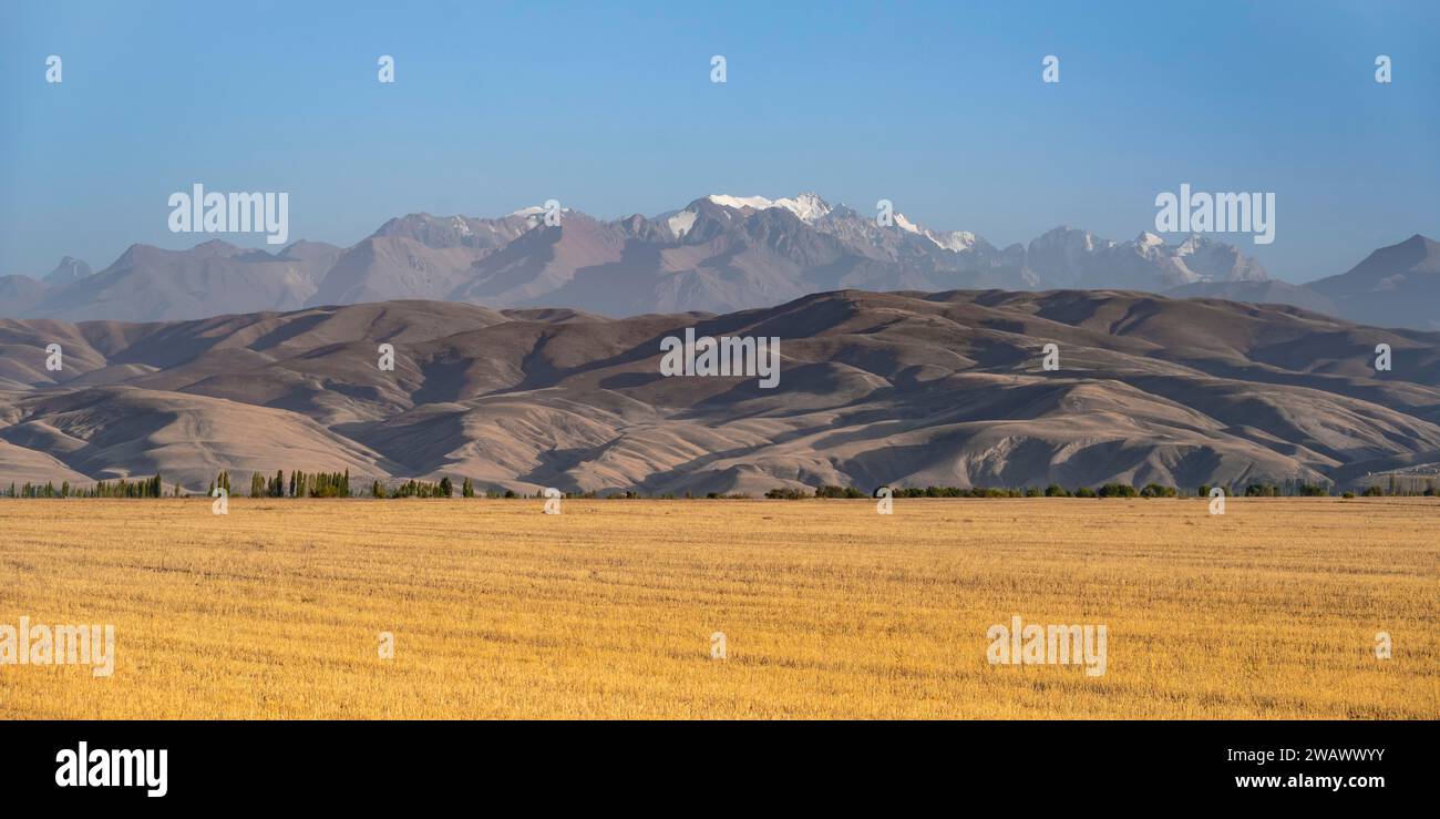 Feld vor karger Erosion Landschaft und hohen Bergen, Kirgisistan Stockfoto