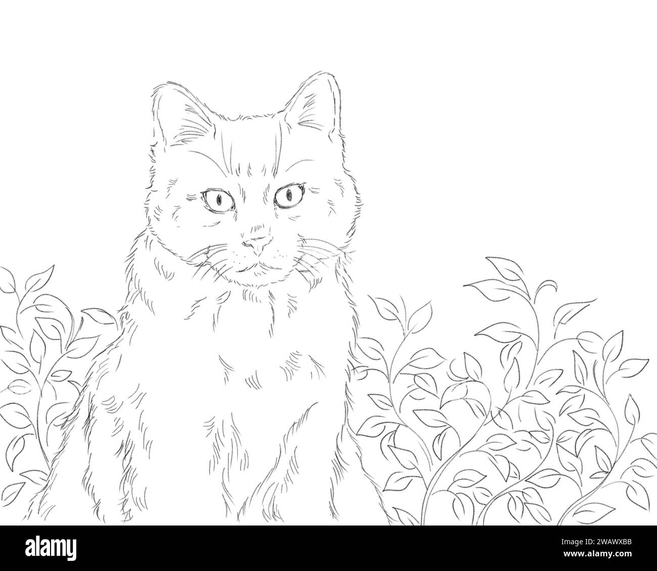 Porträt einer niedlichen, entzückenden Katze, die im Hintergrund der Natur sitzt. Künstlerische Skizze Bleistiftzeichnung schwarz-weiß. Haustierkonzept. Stockfoto