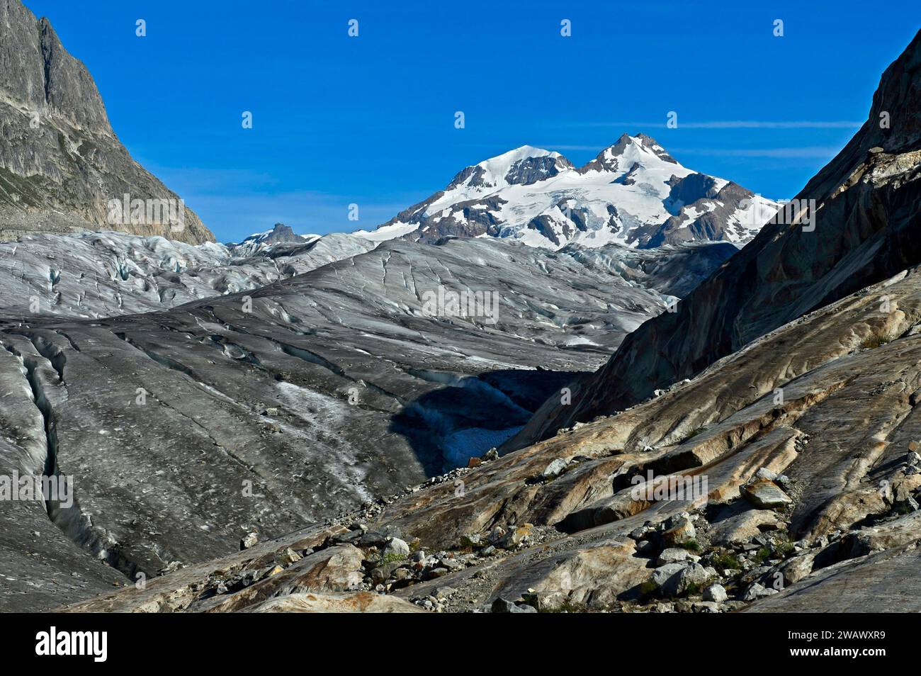 Das große Wannenhorn des Walliser Fiescherhoerners erhebt sich über dem Großen Aletschgletscher, UNESCO-Weltkulturerbe Schweizer Alpen Jungfrau-Aletsch Stockfoto