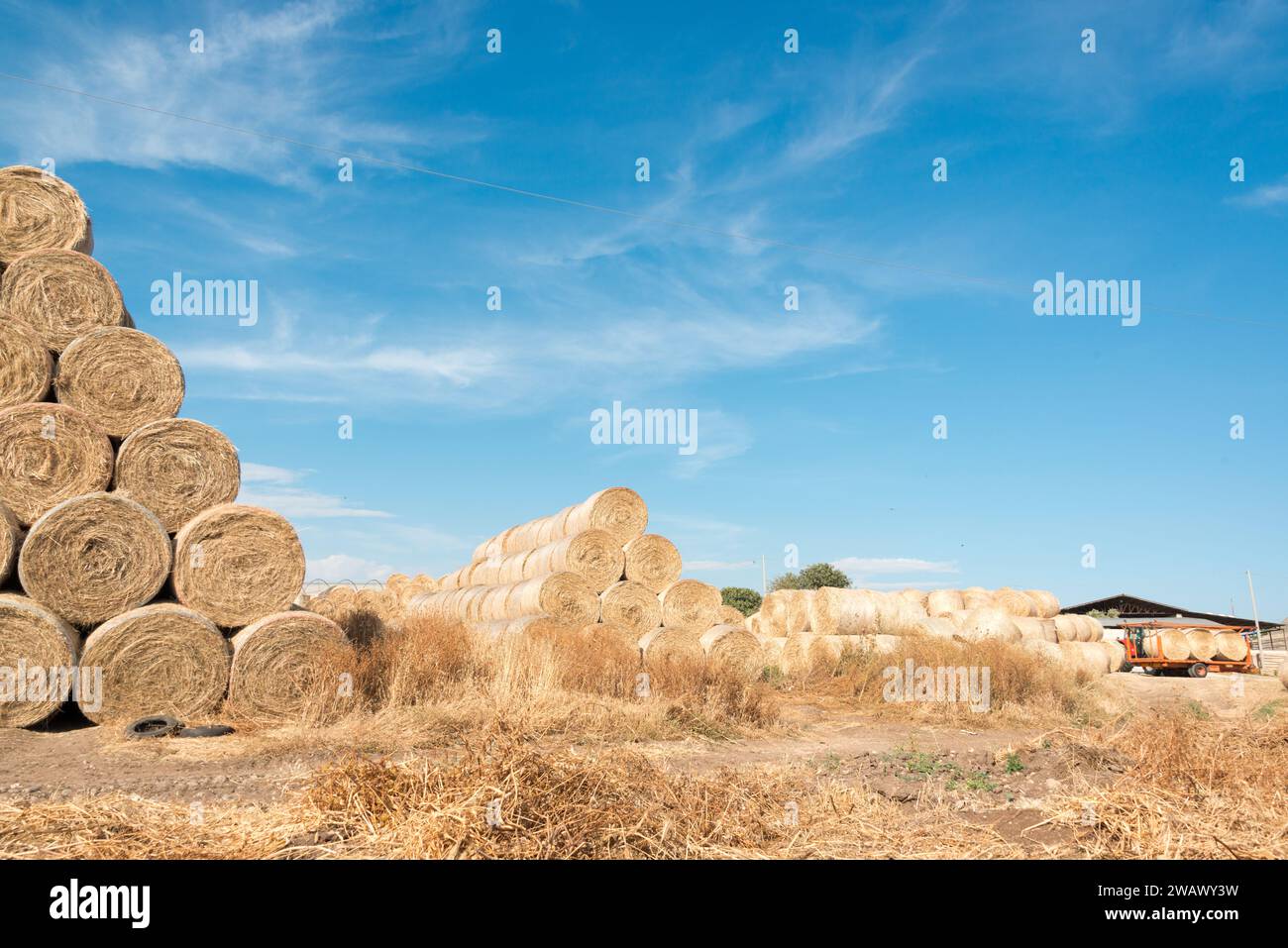 Auf einem Bauernhof in der Nähe von Sampieri Sizilien während der Getreideernte Stockfoto