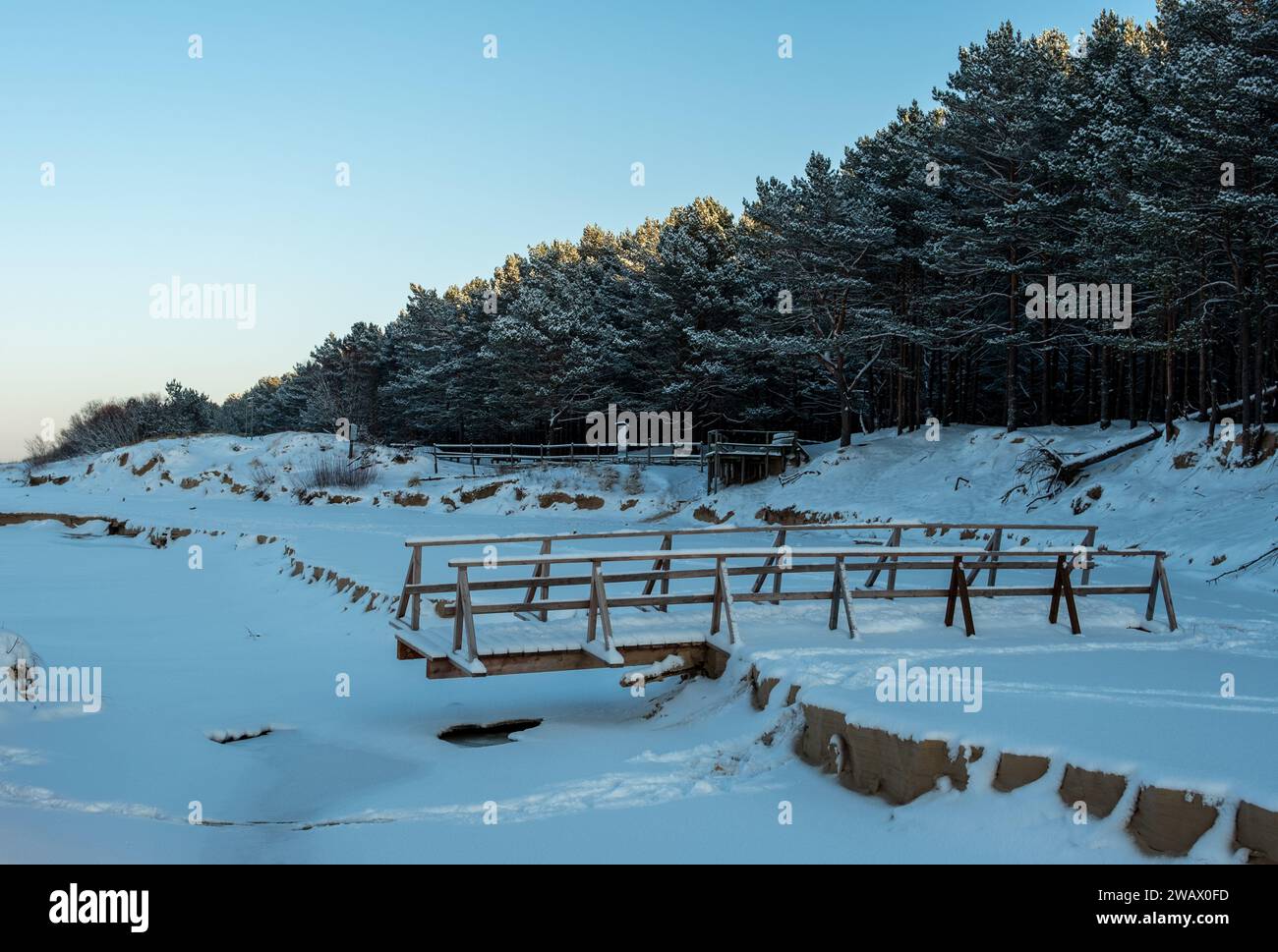 Stille Zeugen vergangener Jahreszeiten – eine kaputte Brücke steht an der verschneiten Küste, eingerahmt von stoischen Kiefern. Stockfoto