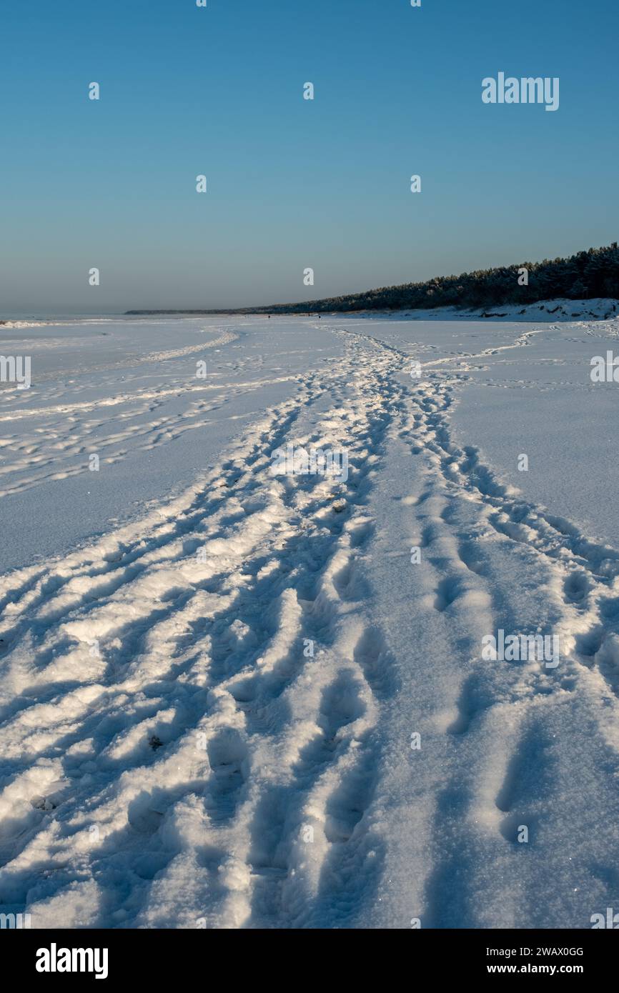 Eine Spur von Flüstern inmitten der winterlichen Stille, in den goldenen Tönen der Abenddämmerung getaucht. Stockfoto