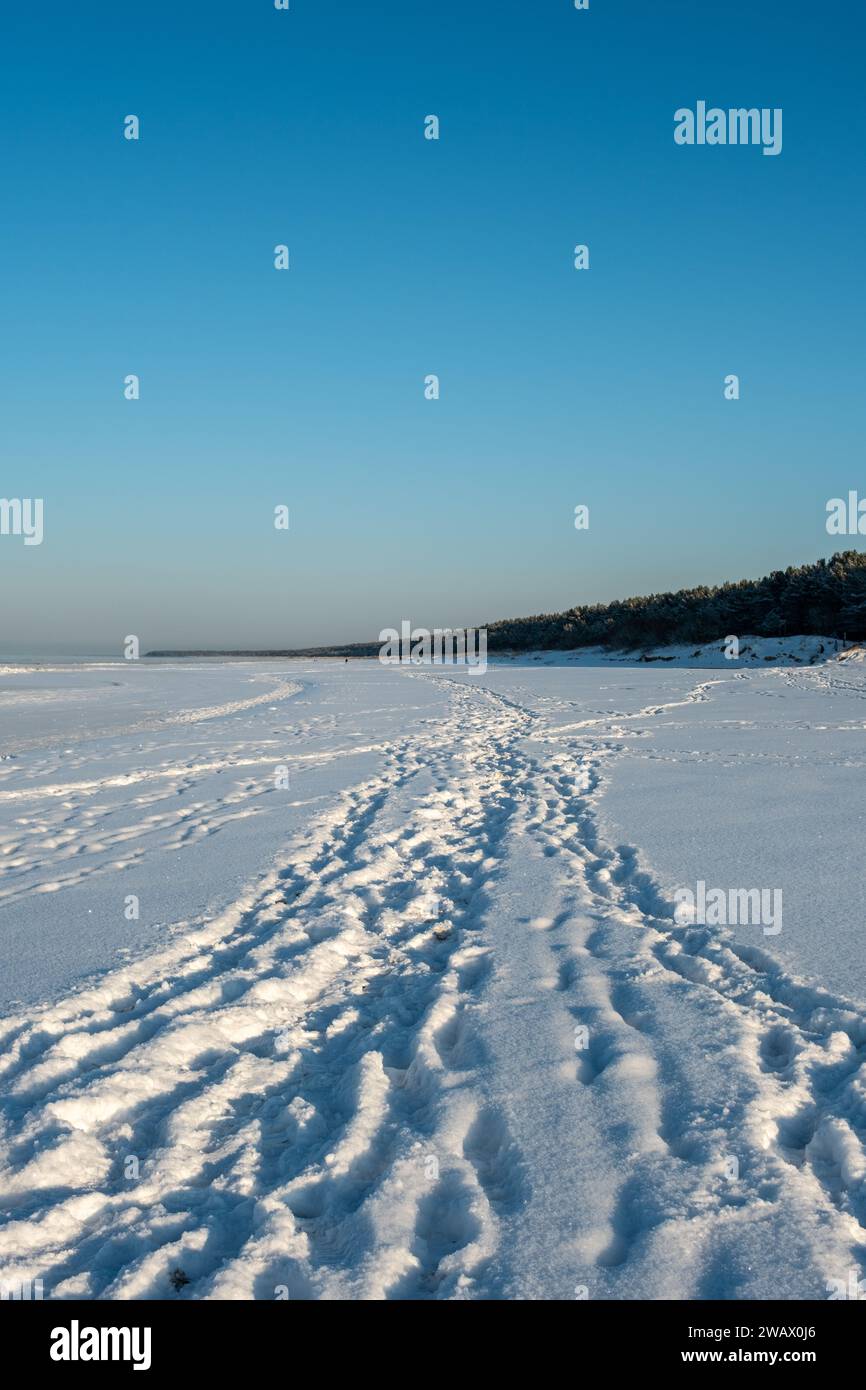 Im goldenen Licht des Winters taucht ein Pfad auf – ein stiller Zeuge zahlloser Geschichten, die nicht erzählt werden. Stockfoto