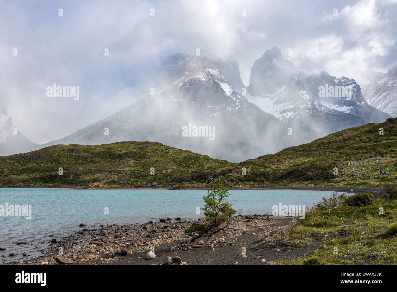 Torres del Paine Nationalpark, Patagonien, Chile Stockfoto