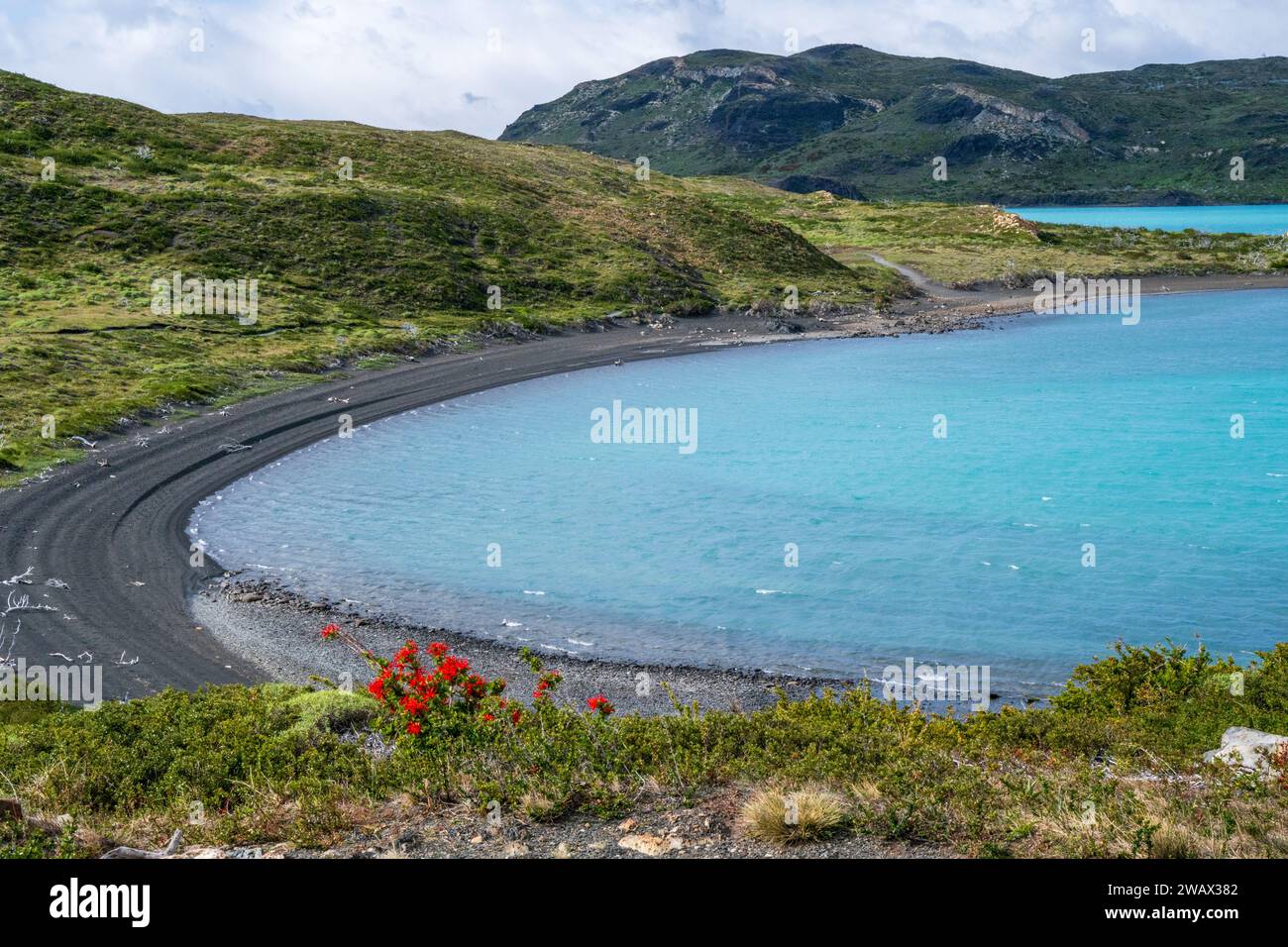 Torres del Paine Nationalpark, Patagonien, Chile Stockfoto