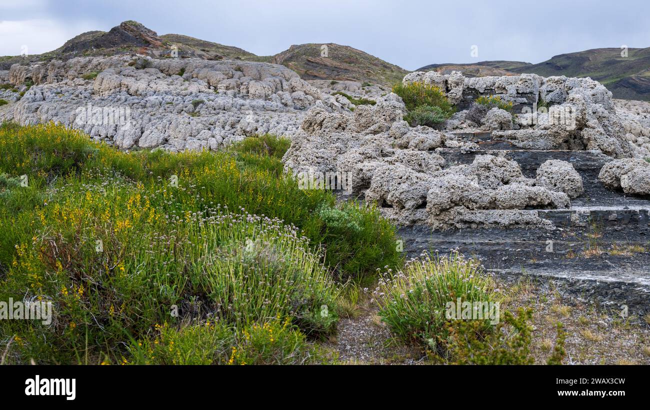 Thrombolite-Formationen am Sarmiento-See, Nationalpark Torres del Paine, Chile Stockfoto