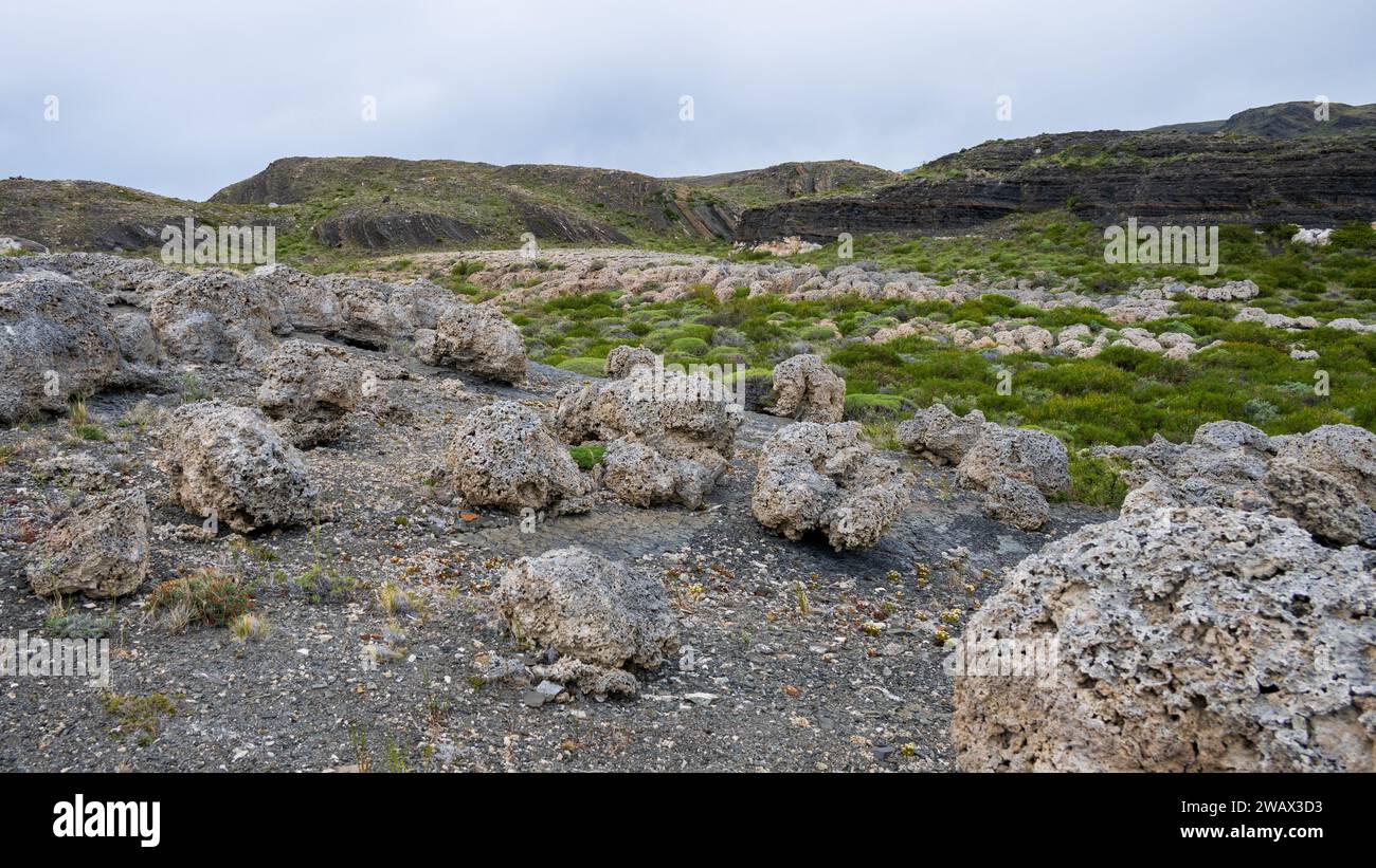 Thrombolite-Formationen am Sarmiento-See, Nationalpark Torres del Paine, Chile Stockfoto
