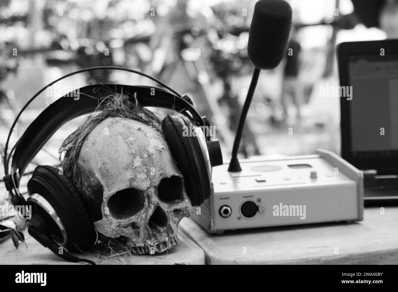 Menschlicher Schädel mit Ohrhörern und Mikrofon, monochrom. Musik- und Soundkonzept. Todeskonzept. Musik harte Arbeit. Audio und Stereo Stockfoto