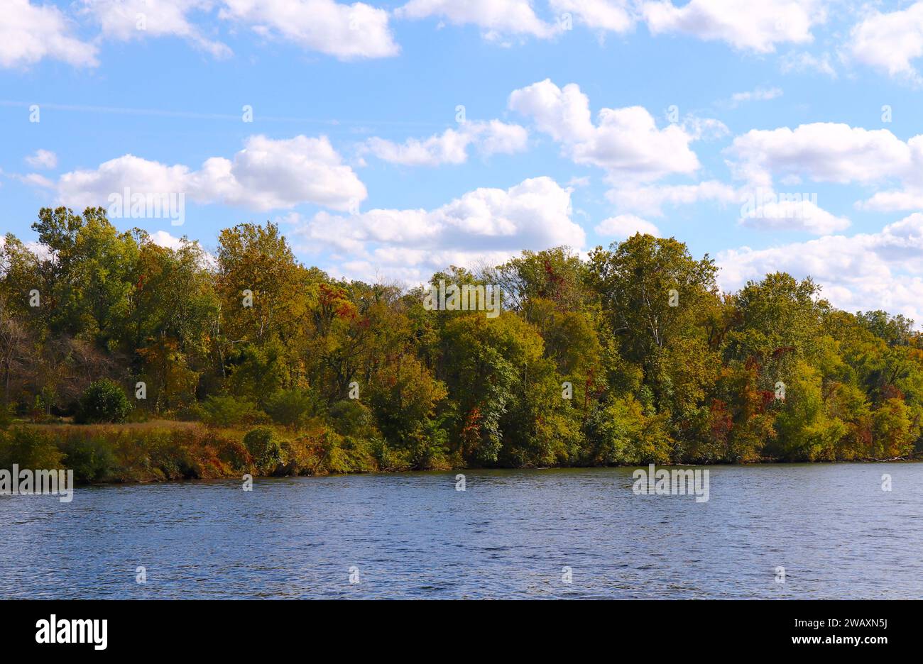 Bäume mit Herbstfarben-Flussufer und blauer Himmel mit Puffy White Wolken Stockfoto