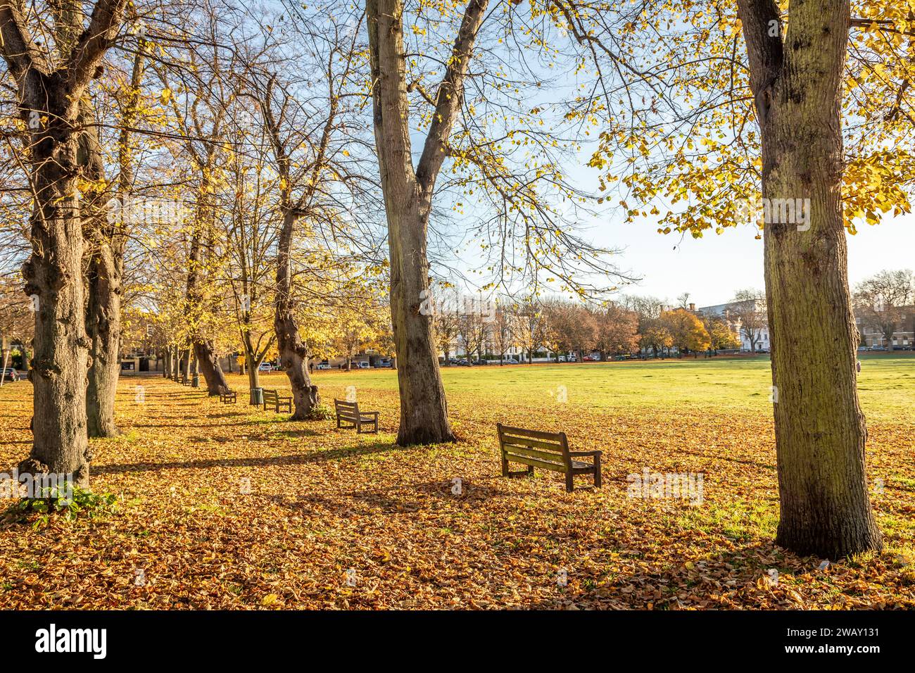 Richmond Green, Richmond-upon-Thames, Greater London, Großbritannien Stockfoto