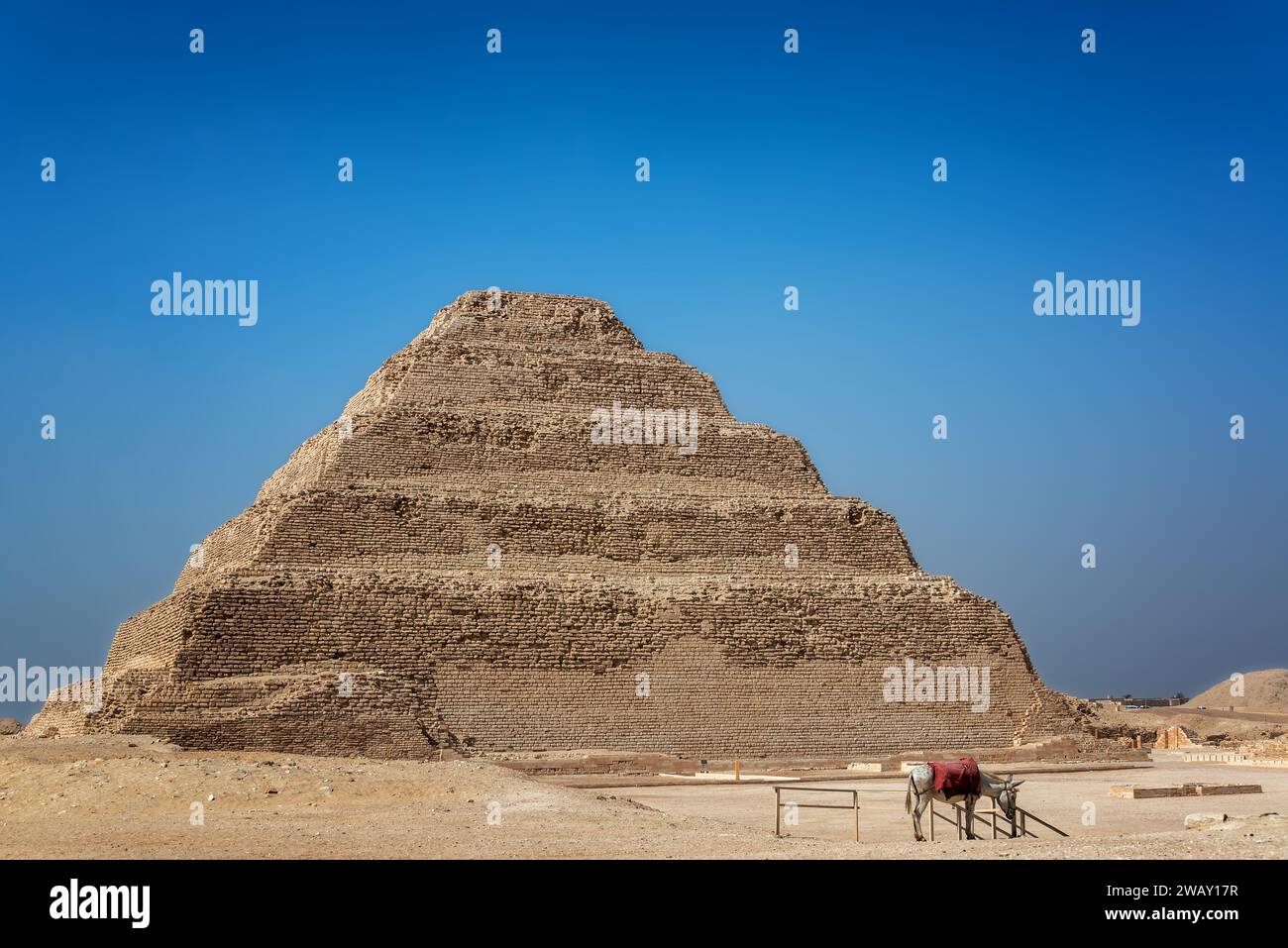 Stufenpyramide von Djoser in Sakkara, Ägypten, mit einem Esel davor Stockfoto