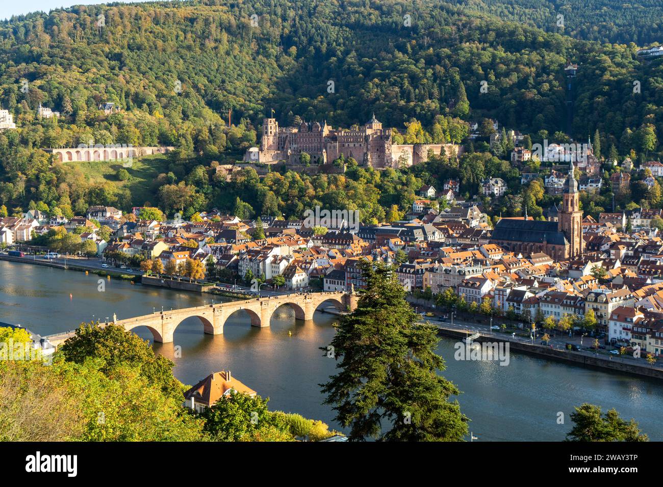 Spaziergang entlang des langen neckars Stockfoto