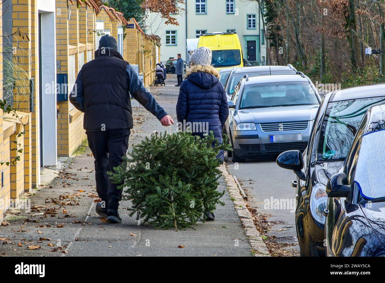 Leipzig - Weihnachtsbaum-Entsorgung nach Weihnachten 07.01.2024 gegen 14 Uhr Leipzig, Stadtgebiet im Foto: Ein Mann und ein Kind gehen gemeinsam auf einem Fußgängerweg. Sie ziehen einen ungeschmückten Weihnachtsbaum hinter sich her. STADT/AUTOBAHN Sachsen Deutschland *** Leipziger Weihnachtsbaumentsorgung nach Weihnachten 07 01 2024 gegen 14 Uhr Leipzig, Stadtgebiet auf dem Foto gehen Mann und Kind gemeinsam auf einem Fußgängerweg und ziehen einen ungeschmückten Weihnachtsbaum hinter sich STADT AUTOBAHN Sachsen Deutschland Copyright: XEHLxMedia/BjörnxStachx 240107_weihnachtsbaum-entsorgung-leipzig_ Stockfoto