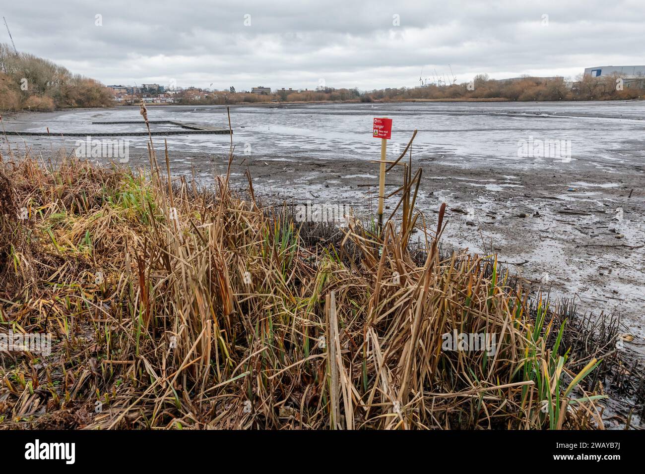 Das Brent Reservoir, die Welsh Harp, A Site of Special Scientific Interest (SSSI), wurde für ein fünfmonatiges Programm für wichtige Winterwartungsarbeiten entleert. Stockfoto