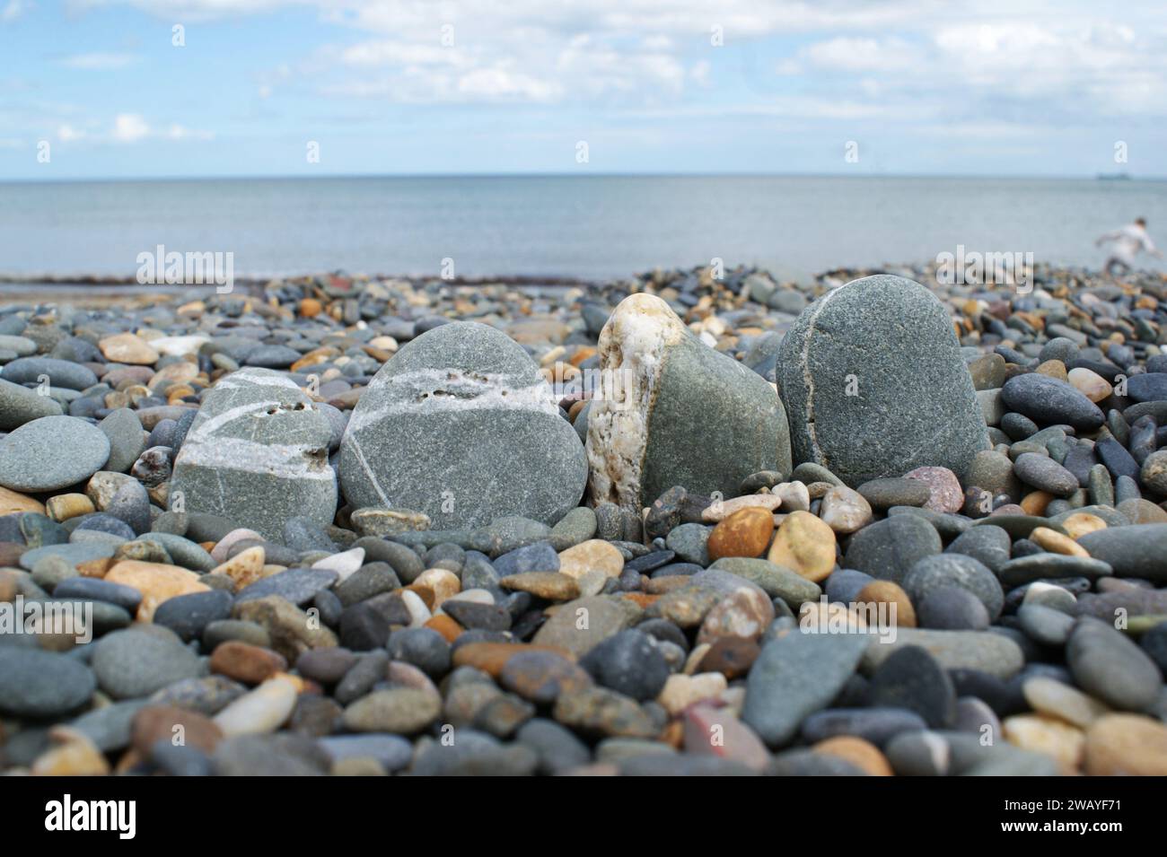 Vier Felsen an einem steinigen Strand. Glatte Kieselsteine. Stockfoto