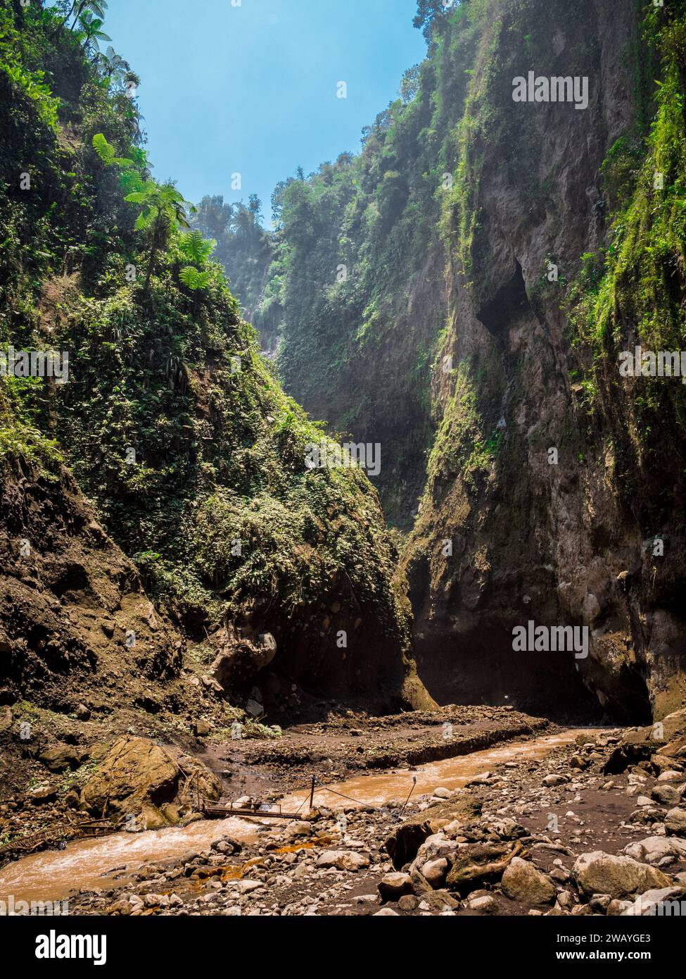 Tal, das zum Tumpak Sewu Wasserfall führt Stockfoto