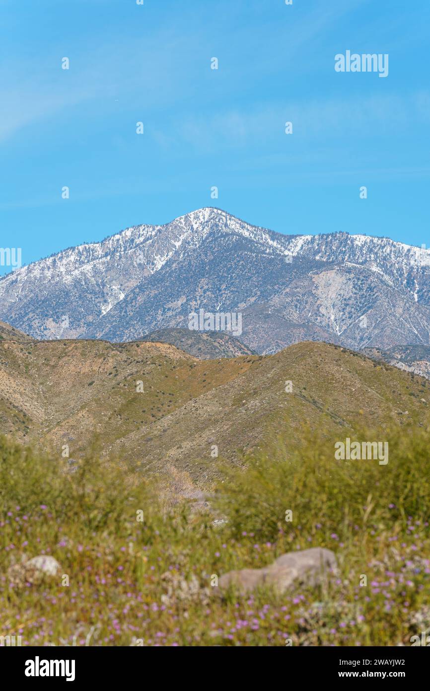 Blick auf den Schnee am San Gorgonio Mountain vom Mission Creek Preserve in Desert Hot Springs, Kalifornien. Senkrecht aufnehmen. Stockfoto