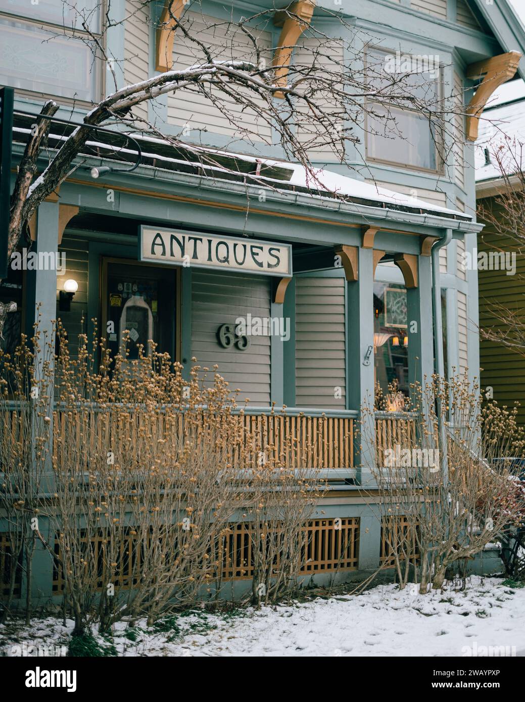 Ein Antiquitätengeschäft an der Elmwood Avenue in Allentown, Buffalo, New York Stockfoto