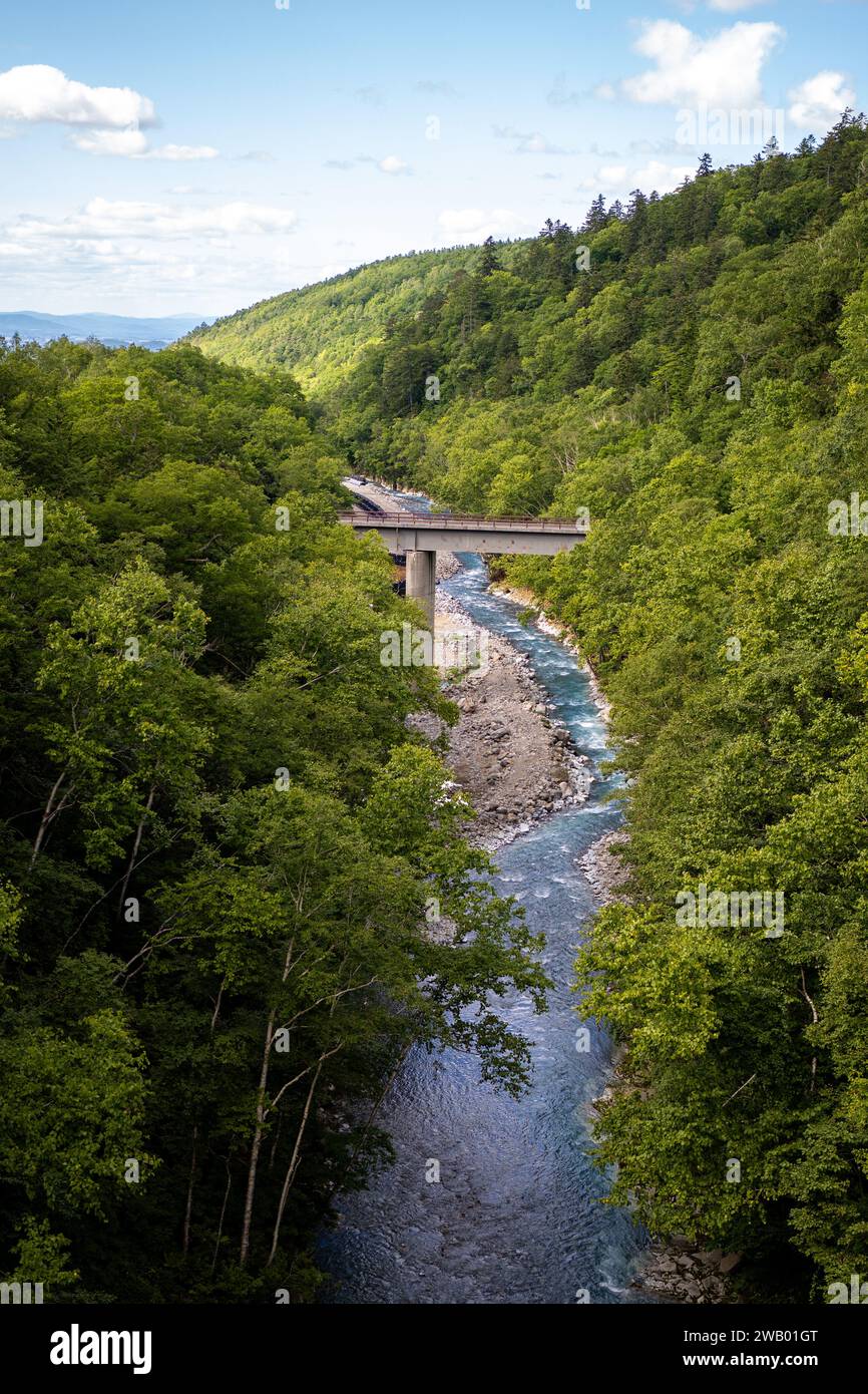Brücke über den biei Fluss im zentralen hokkaido Wald Stockfoto