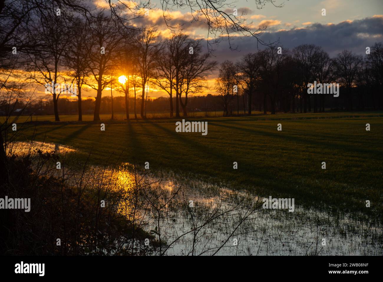 Sonnenuntergang im ländlichen Gebiet in Gelderland, Holland Stockfoto