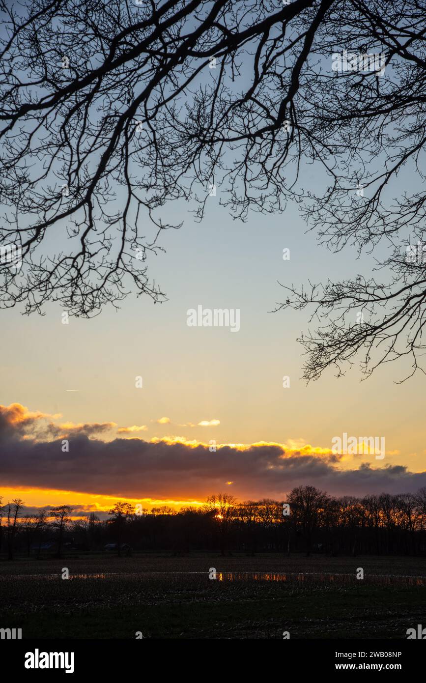 Sonnenuntergang im ländlichen Gebiet in Gelderland, Holland Stockfoto