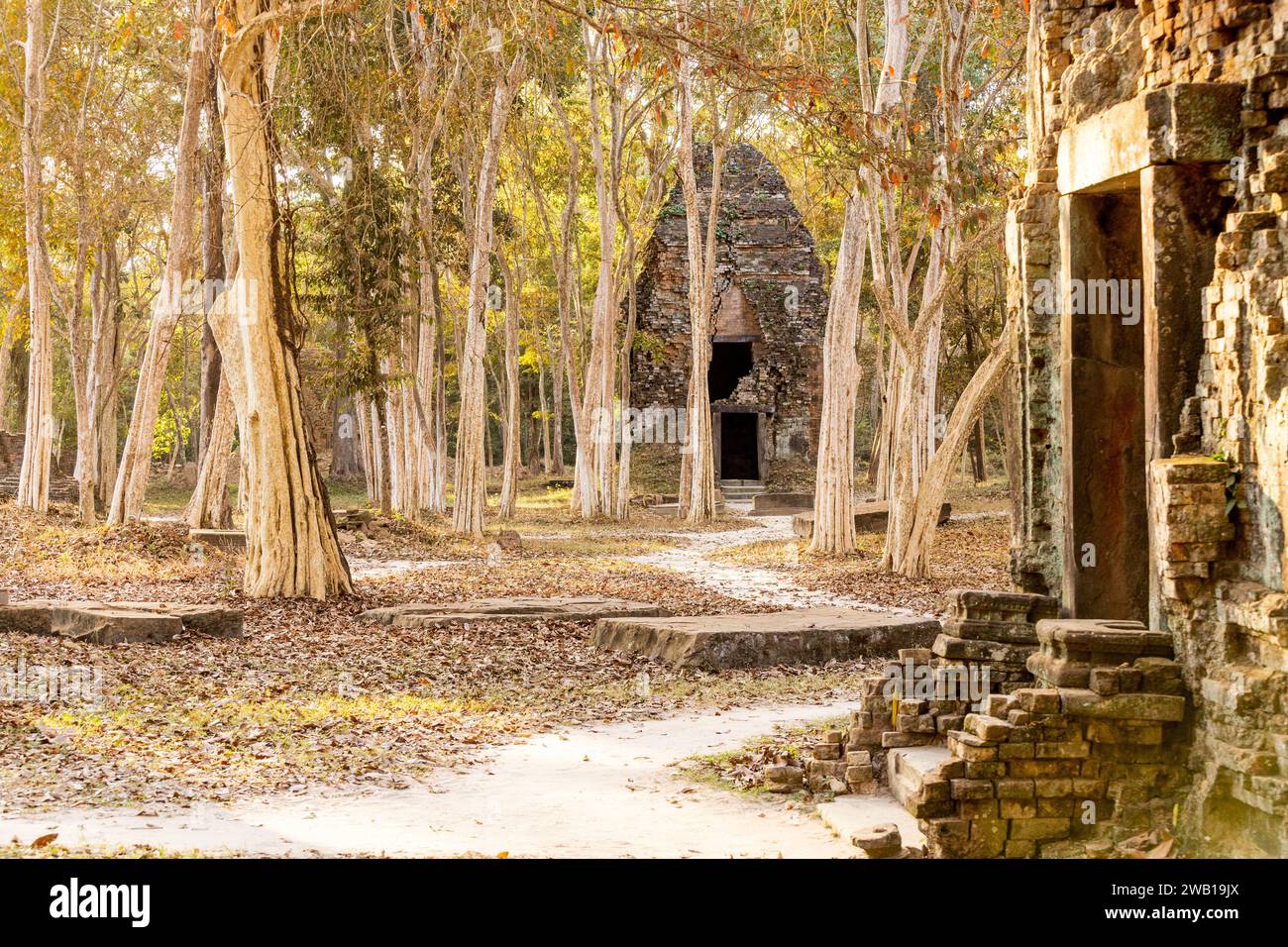 Pfad zu Angkor Stockfoto