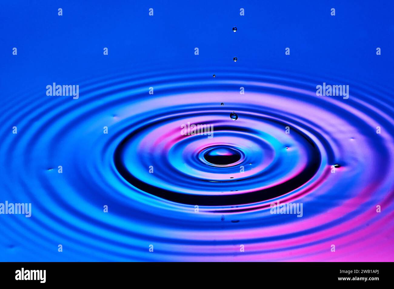 Ein Wassertropfen, der ins Wasser fällt und Wellen erzeugt Stockfoto