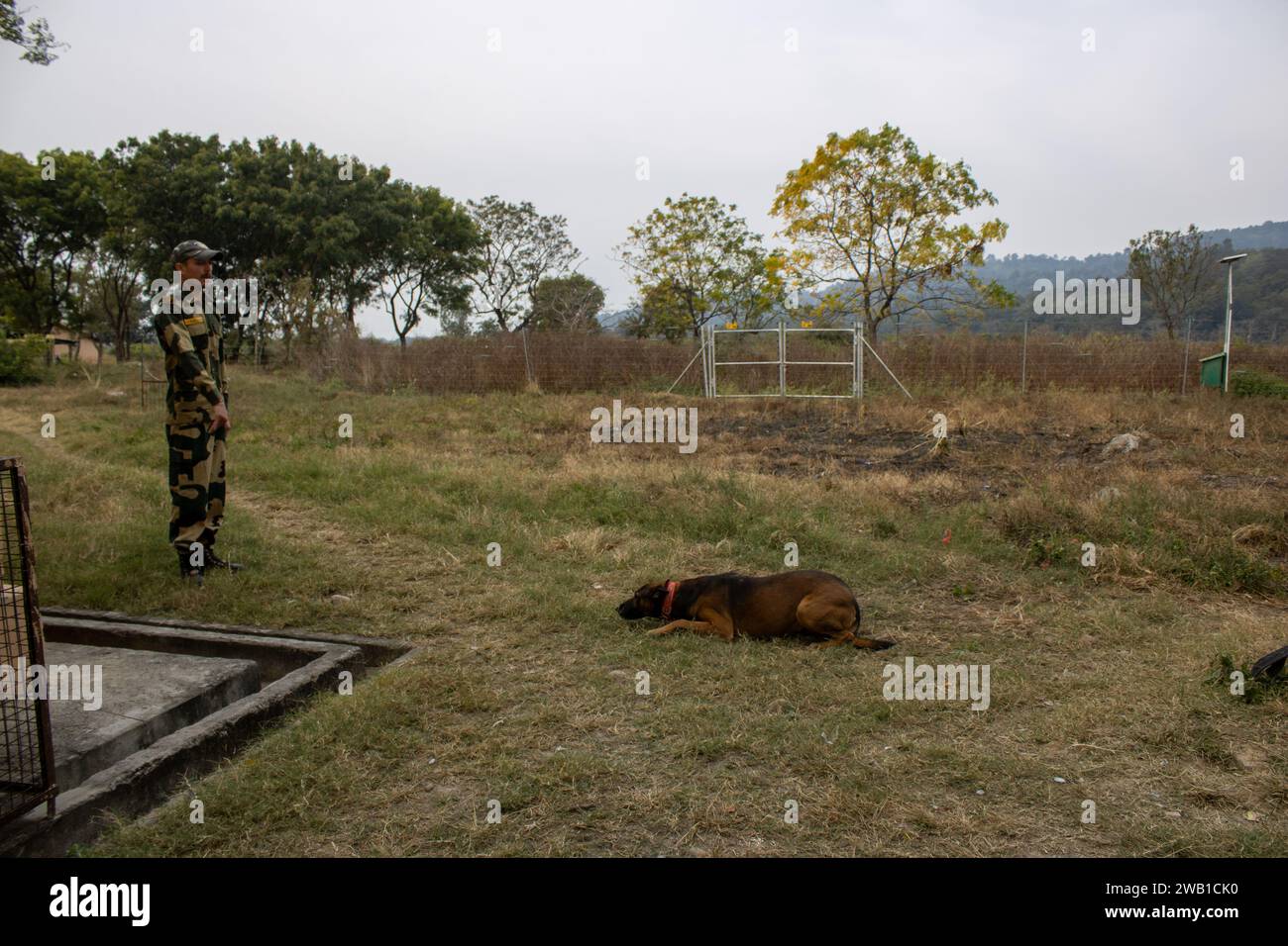 Dehradun, Uttarakhand Indien-17. August 2023- ein Militärmann führt Hunde in Indien durch und führt sie durch Präzision und Disziplin Stockfoto