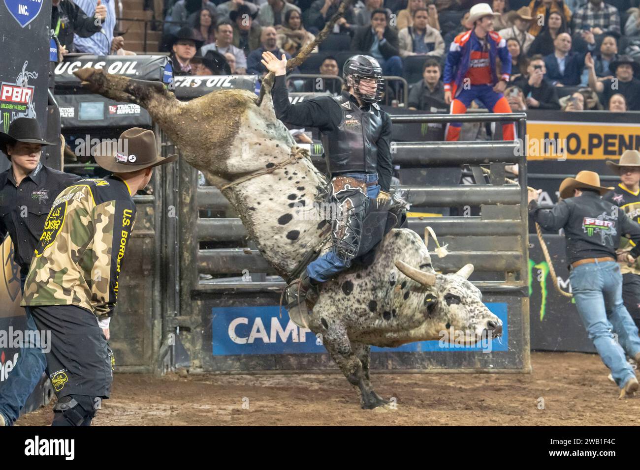 NEW YORK, NEW YORK – 06. JANUAR: Conner Halverson reitet Wilson während der zweiten Runde der Professional Bull Riders 2024 Unleash the Beast im Madison Square Garden am 6. Januar 2024 in New York City. Stockfoto