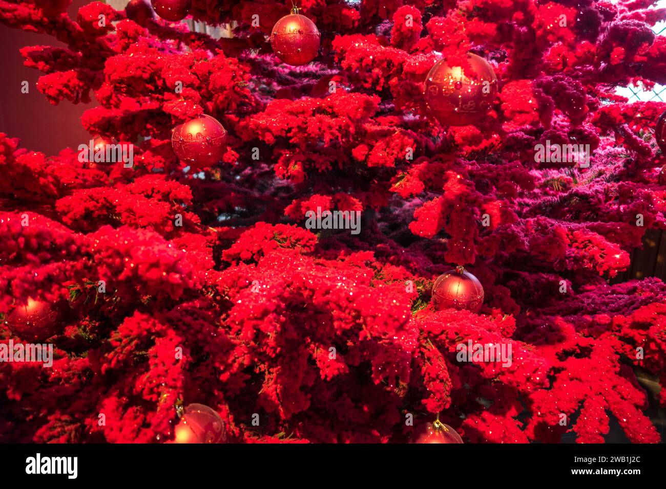 Weihnachtsbaumhintergrund mit roten Ornamenten. Nahansicht Stockfoto