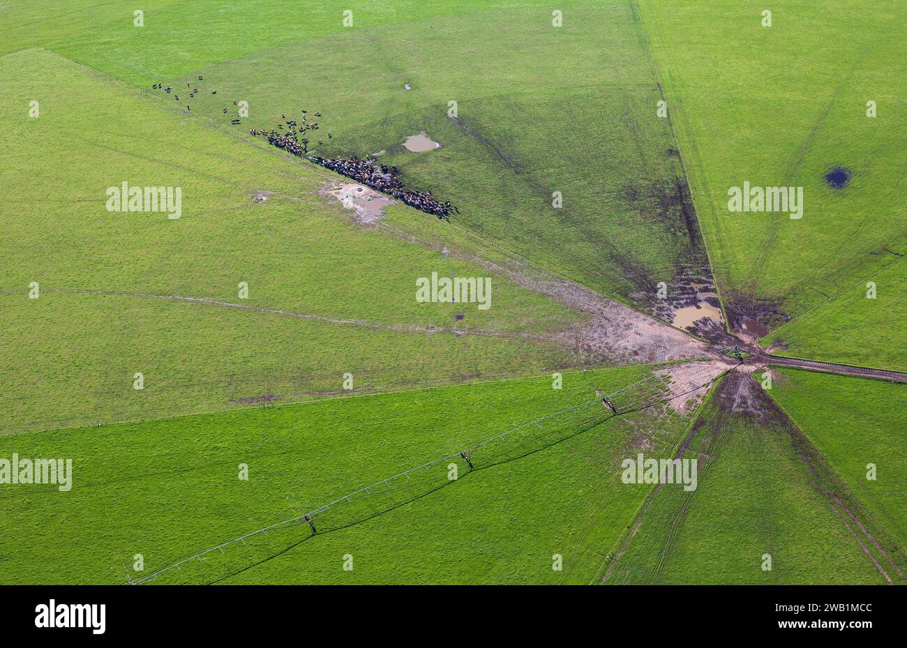 Landwirtschaftliches abstraktes Foto eines Pivot-Bewässerungssystems in der Nähe der St. Francis Bay, Eastern Cape Province in Südafrika. Stockfoto