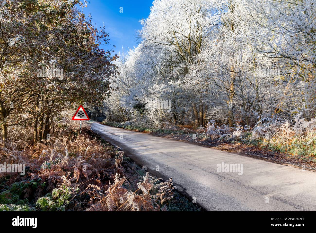 Wintereisige Straße mit Baumfrost auf Landstraßen des Vereinigten Königreichs. Eiskaltes Wetter mit blauem Himmel im Dezember Stockfoto