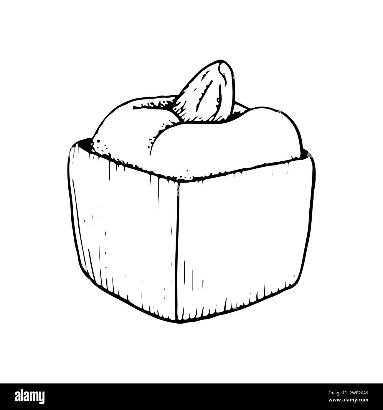 Schokoladenbonbons mit Pralinencreme und Mandel- oder Pistazien-Nuss-Vektor schwarz-weiße Linie Illustration von Süßwaren Stock Vektor