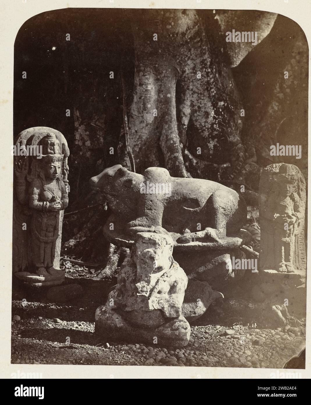 Steinskulturen aus Ost-Java wurden in den Botanischen Gärten in Bogor ausgestellt: Vergötterungsstatue in Form der Göttin Parvati; Nandi, männliche Vergötterungsstatue und Ganesha. Bogor, Bezirk Bogor, Provinz West Java 13.-14. Jahrhundert. 1863 Fotografie Java (möglicherweise) Papier. Unterstützung für Fotos. Albumendruck aus Pappe Stockfoto