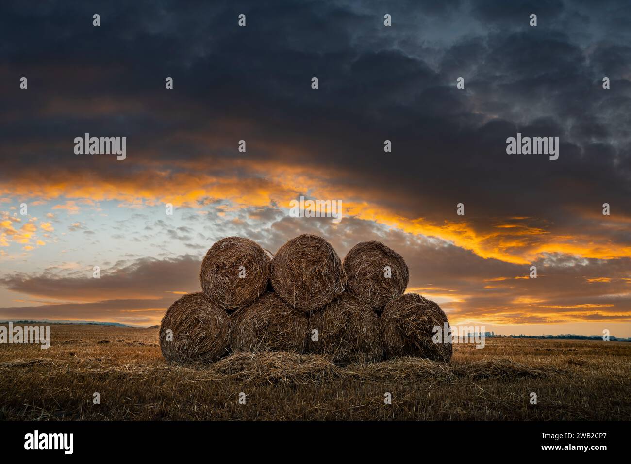 Rundballen trockenes Heu stapelten sich während des Sonnenuntergangs auf einem landwirtschaftlichen Feld. Ländliche Landschaft mit Strohrollen und dramatisch bewölktem goldenen Himmel Stockfoto