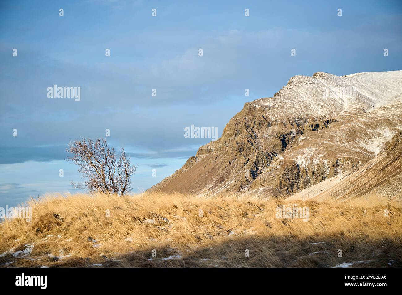 Felsiger Berg bedeckt mit trockenem Gras und Schnee Stockfoto
