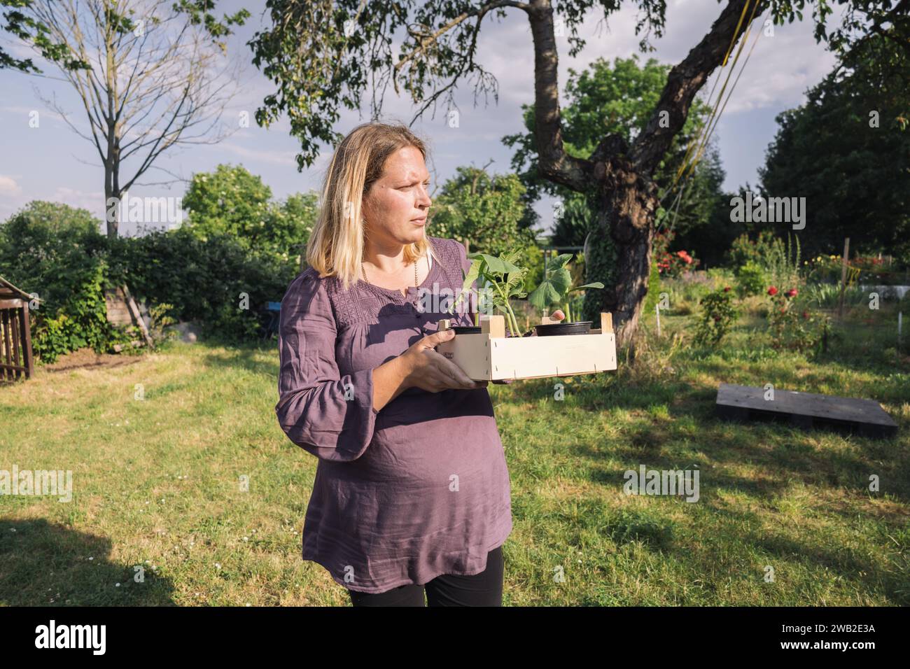 Schwangere Frau pflegt Pflanzen im Sommergarten Stockfoto
