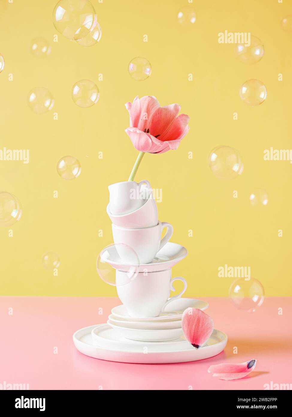 Ausgewogene Zusammensetzung, weiße Tassen und eine rosa Tulpe. Häusliche Ästhetik. Stockfoto