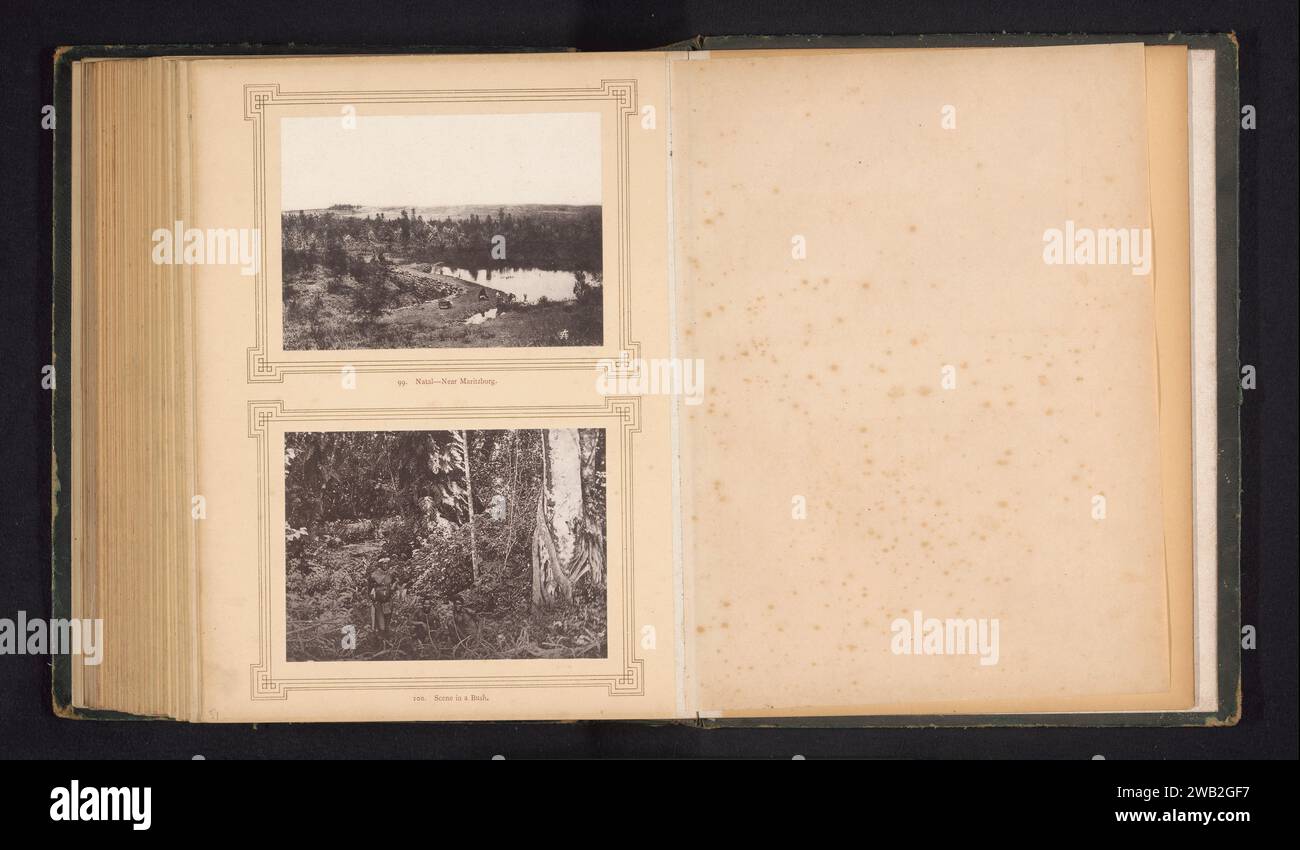 Natal-nahe Maritzburg, Sam Alexander (evtl.), ca. 1870 - in oder vor 1880 photomechanischen Druck Südafrika Papier Kollotypsee. Wald, Holz. Anonyme historische Personen, die in einer Gruppe dargestellt werden, in einem Gruppenporträt Stockfoto