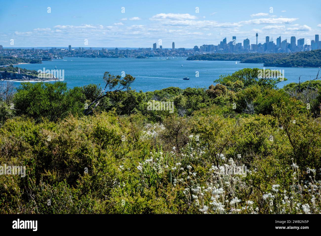 Blick auf das Stadtzentrum von North Head, Sydney, New South Wales, Australien Stockfoto