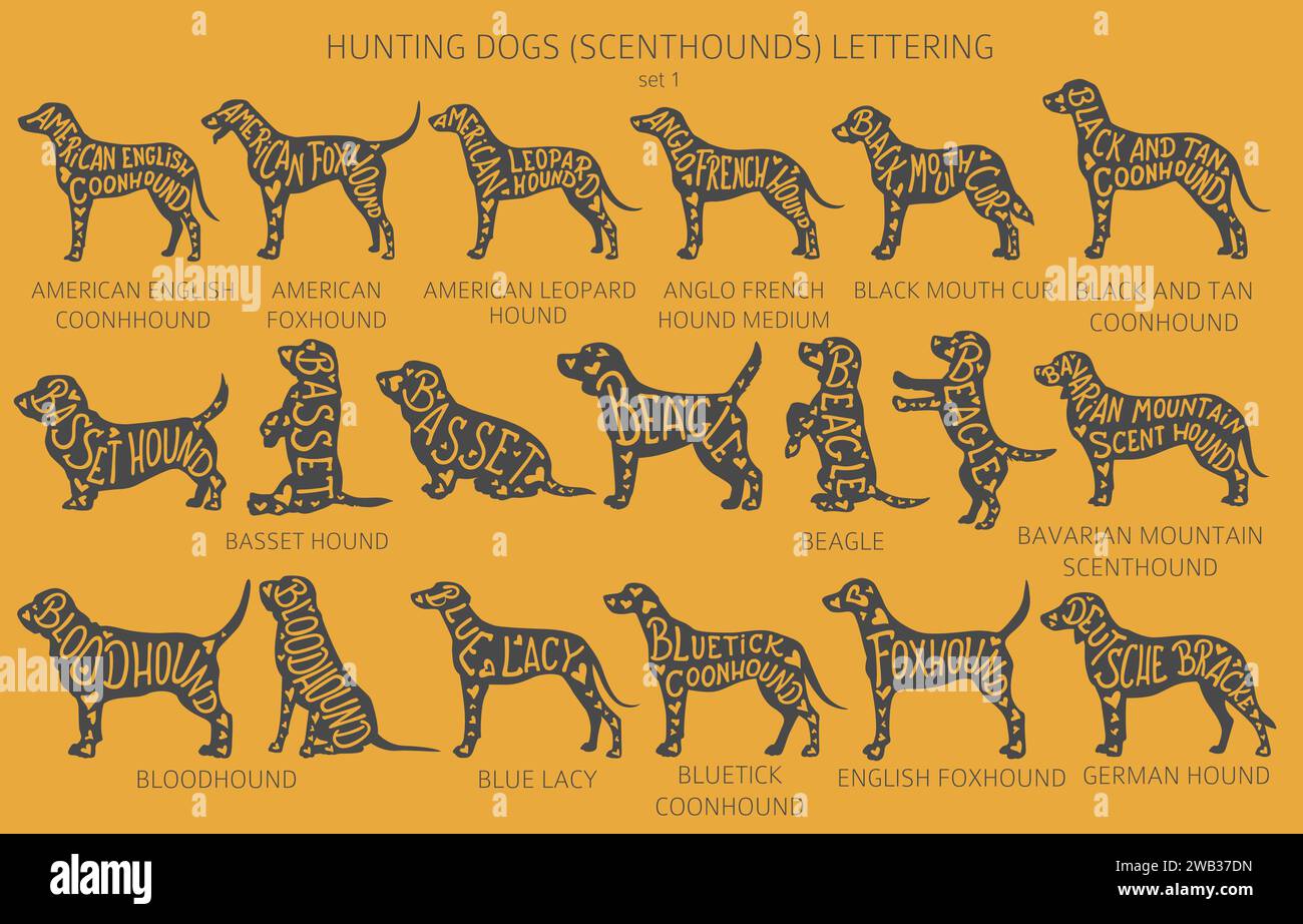 Der Hund züchtet Silhouetten mit Schriftzug, schlichtem Clipart. Jagdhunde, Bühnenbilder, Hundesammlung. Vektorabbildung Stock Vektor