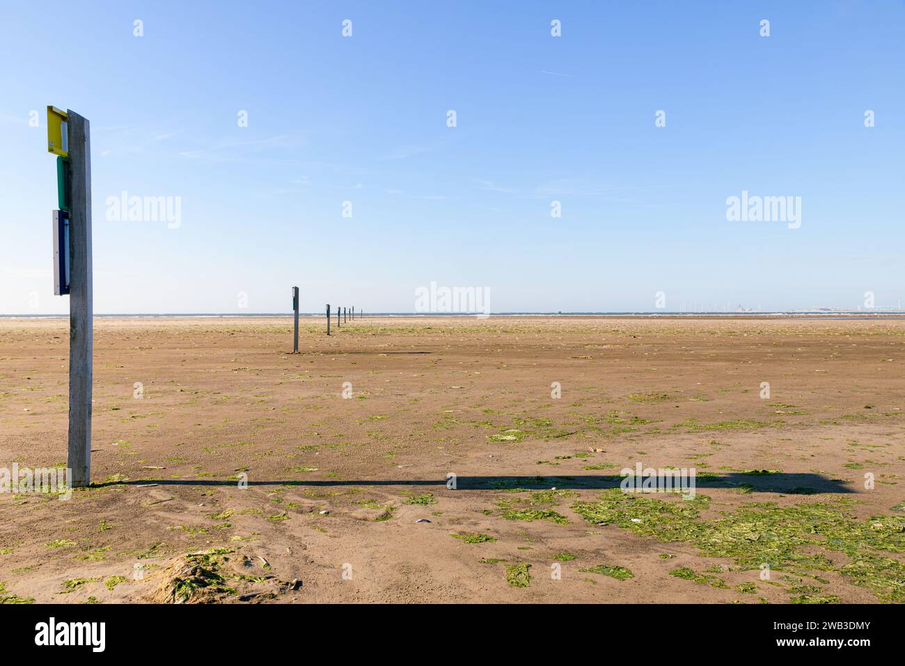 Stöcke ohne Eintrittsschilder zum Schutz der Brutvögel am Strand Kwade Hoek bei Ouddorp auf der Insel Goeree-Overflakkee in den Niederlanden Stockfoto