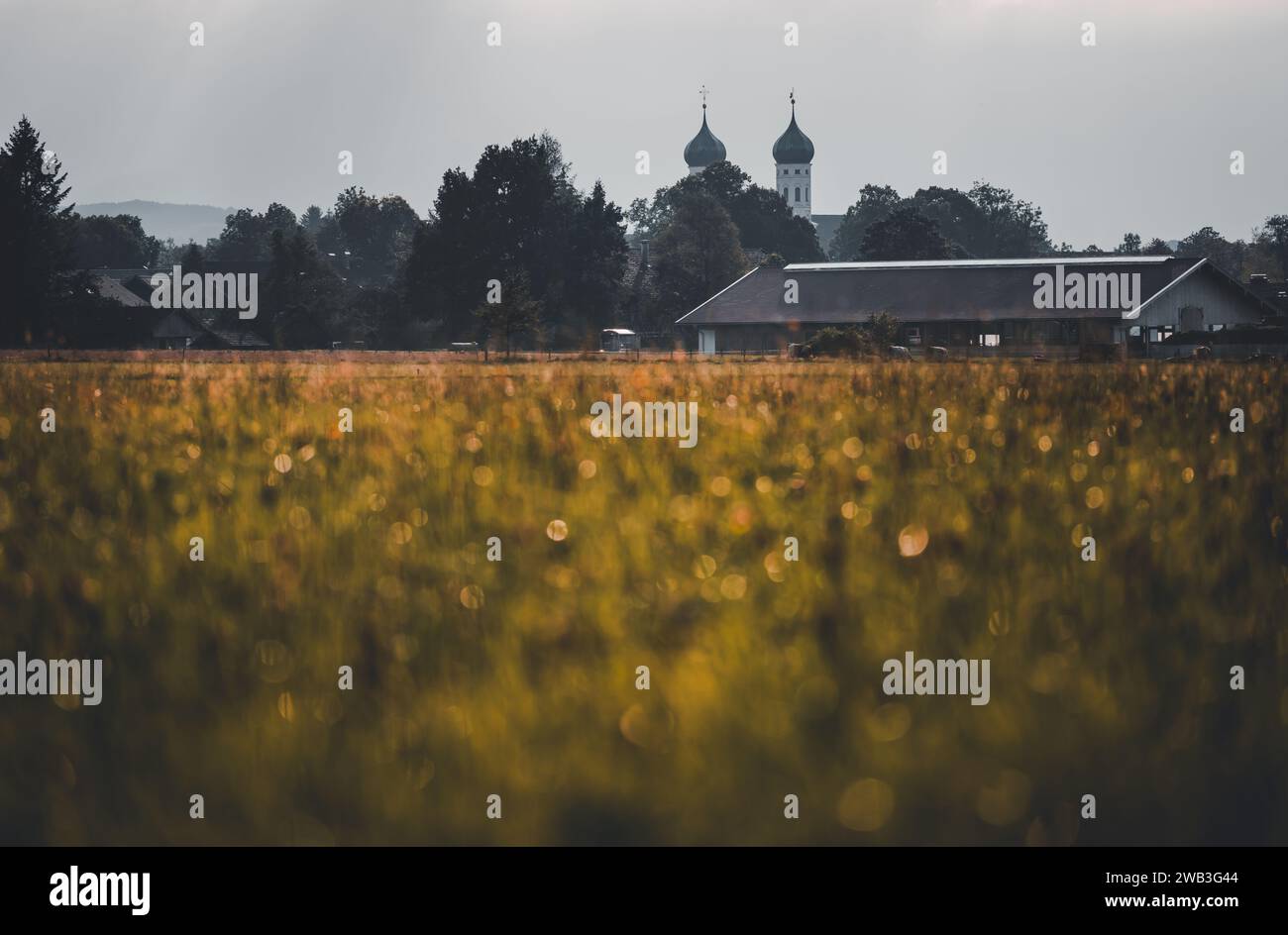 Ein grünes Feld mit den Kirchtürmen im Hintergrund. Bayern, Deutschland Stockfoto