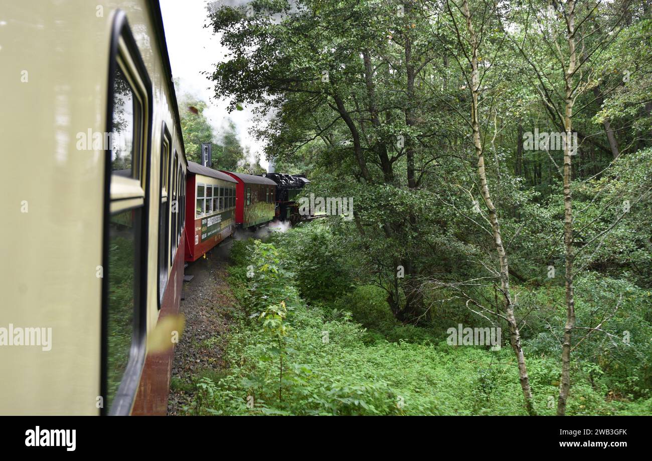 Fahren Sie mit der Schmalspurbahn im Harz Stockfoto