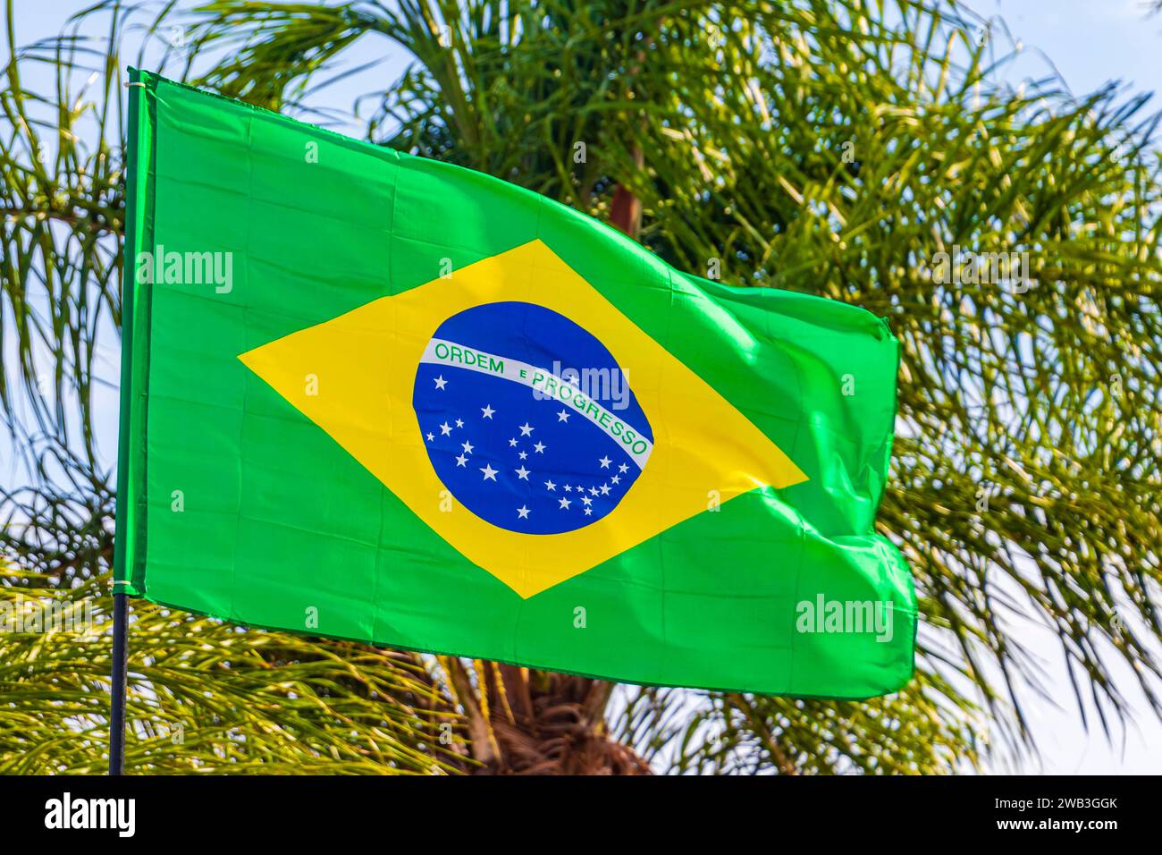 Brasilianische Flagge Winkt Im Wind Mit Palmen Und Blauem Himmel Im Hintergrund In Rio De Janeiro Brasilien In Den Farben Grün Blau Und Gelb. Stockfoto