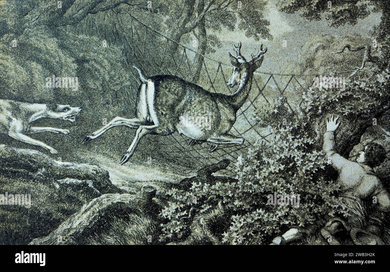 Toiling a Buck: Aus einer Reihe alter monochromer Sportdrucke aus den Stichen von Samuel Howitt, die ursprünglich zwischen 1798 und 1800 veröffentlicht wurden. Howitt war ein englischer Maler, der in Öl und Aquarellen arbeitete, Tiere malte, Jagdszenen, Pferderennen und Landschaften. Er war auch Radierer, Illustrator und Kupferstecher. Das ist von einem kleinen Abdruck fotografiert. Stockfoto