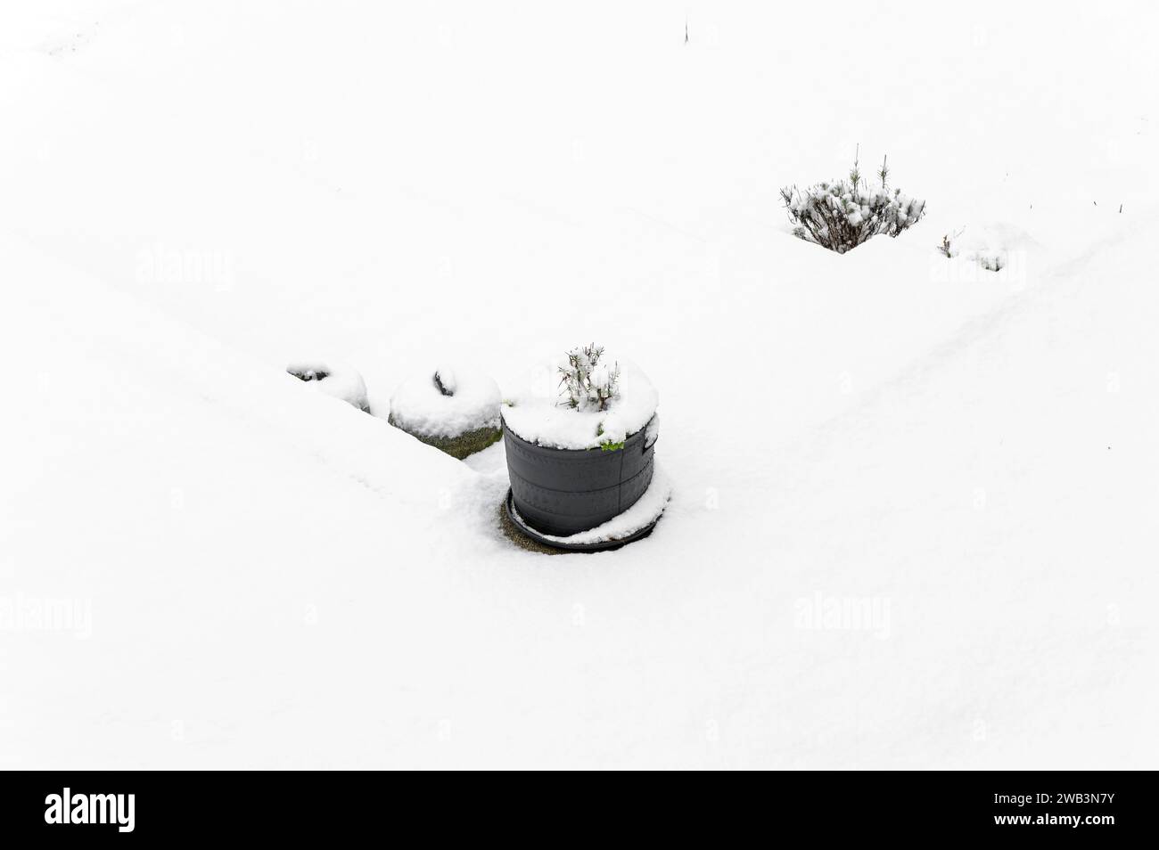 Blick auf schneebedeckte Pflanzen im Winter in einem Gartencontainer Stockfoto